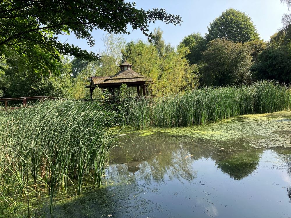 the pond and summer house